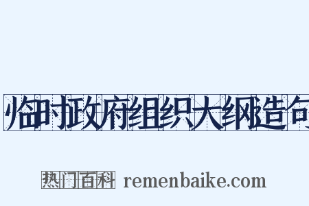 临时政府组织大纲造句是什么意思的图片